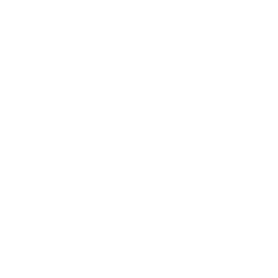 wired-outline-57-server-hover-pinch (1)